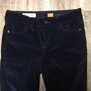 Anthropologie Pilcro Navy Blue Corduroy Pants 28